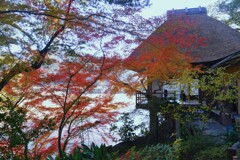 不老庵と紅葉　①。。。！