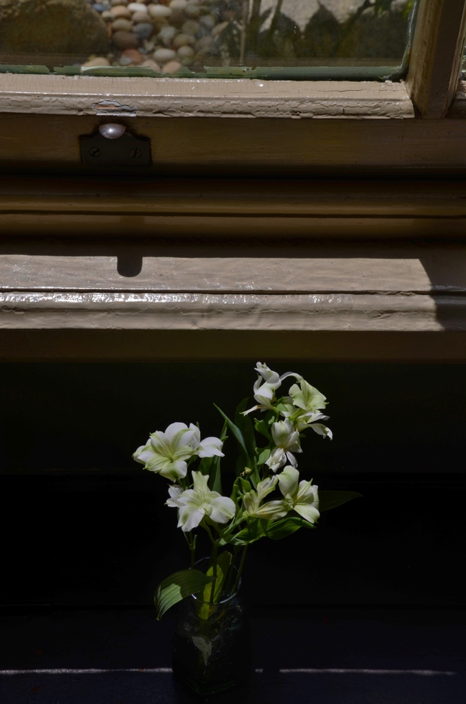 窓辺で、ひとり想うこと。。。！