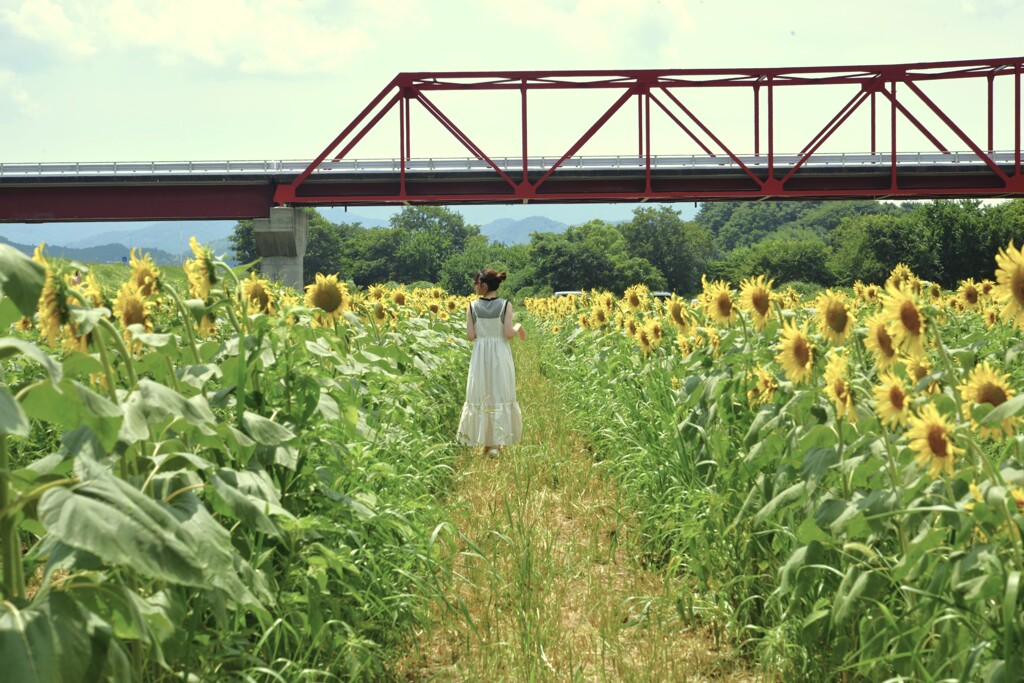 真夏の恋人。。。！