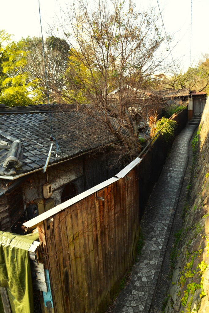 旅情　➂。。。！