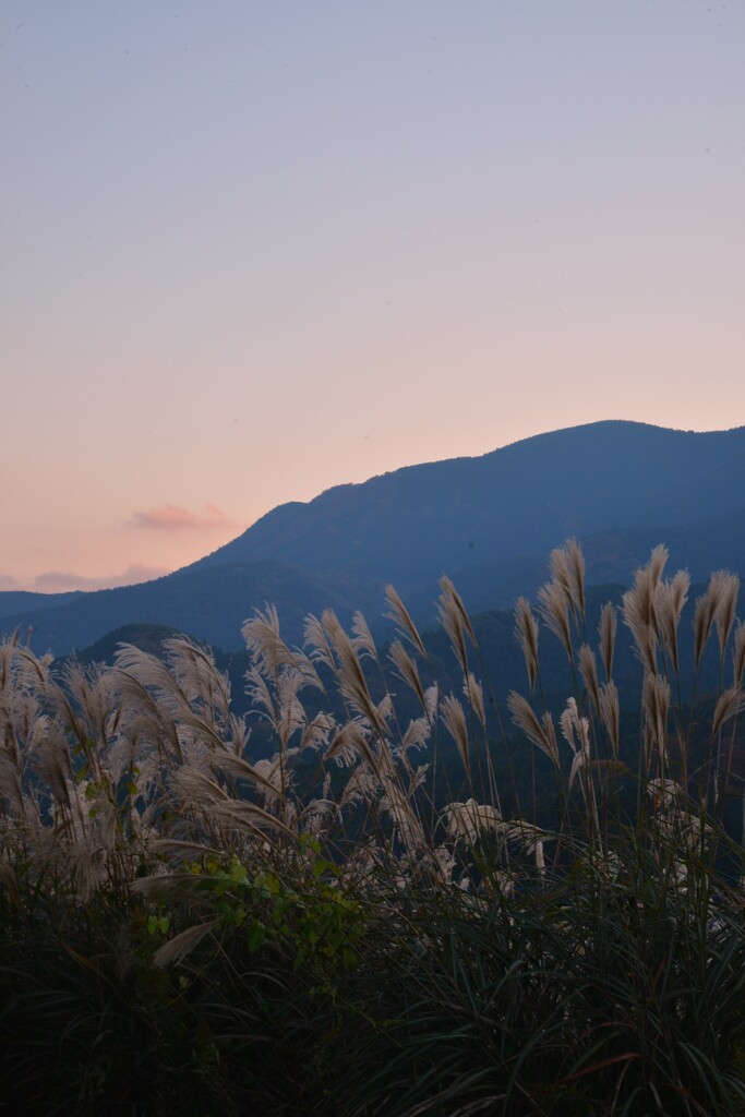 夕暮れ山の海原　④。。。！