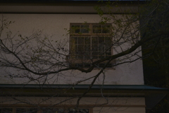 渓谷を歩く　１