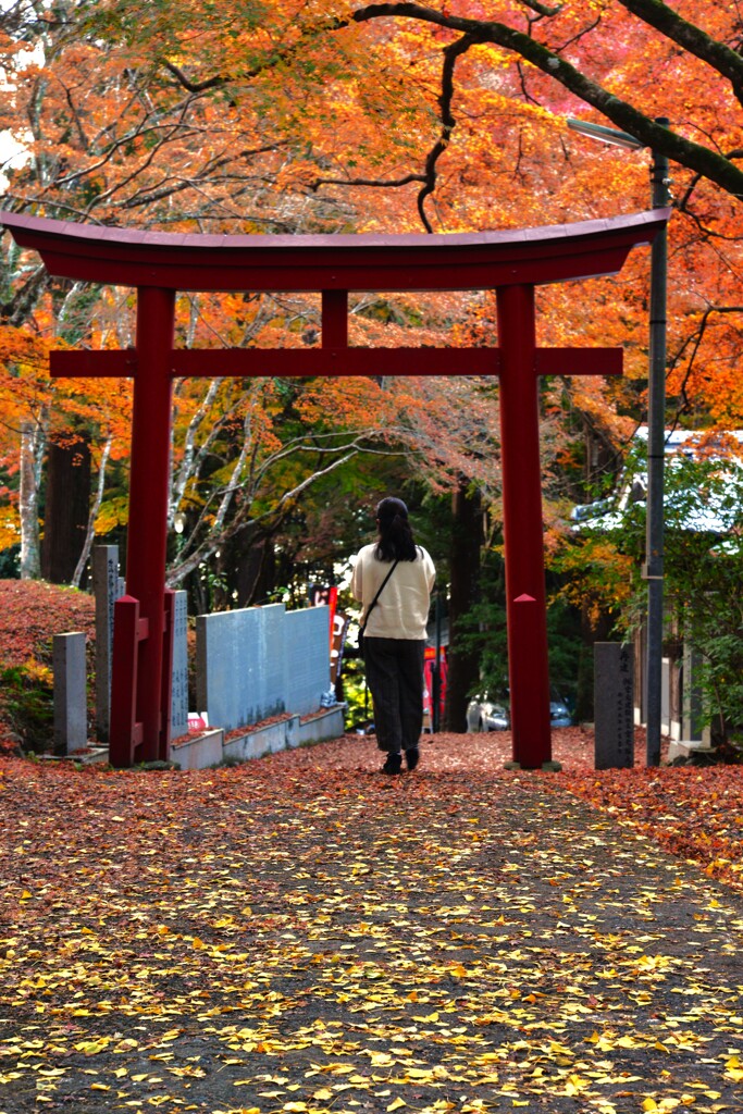 ひと想う秋　。。。！