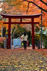 ひと想う秋　。。。！