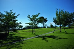 夏空と公園　②。。。！