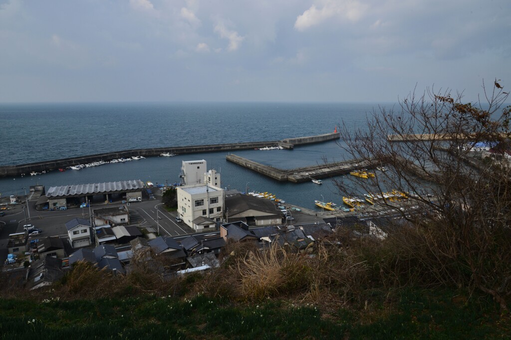 漁港の町　⑤。。。！
