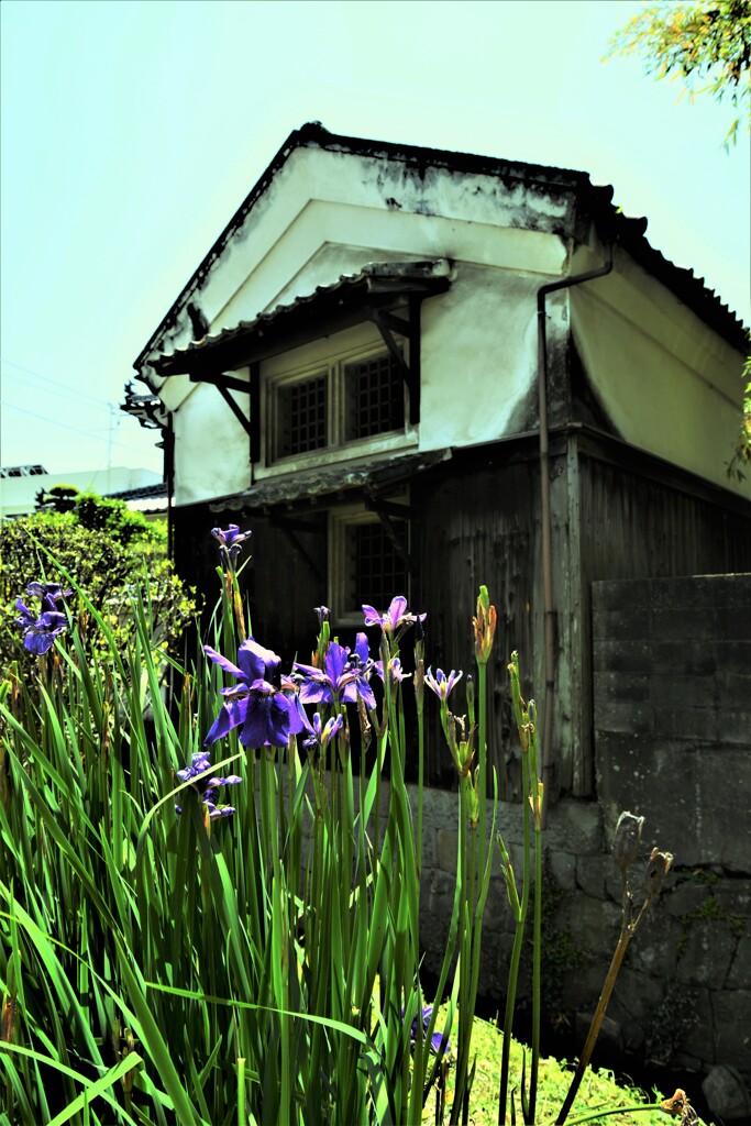 白い土塀の蔵屋敷　①。。。！