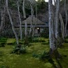 冬枯れて嵯峨野。。。！