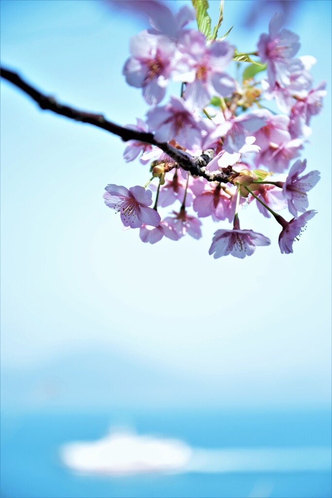 春風をうけて。。。！