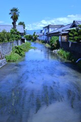 涼しげな堀割町　⑤。。。！