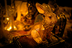 ぼんやりラビット