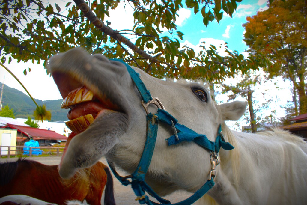 ぶるるうぅぁ！！！