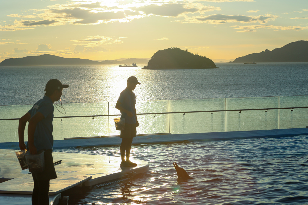 四国水族館からの夕日