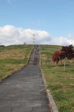 公園の丘