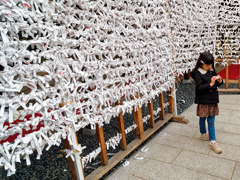 湊川神社のおみくじ