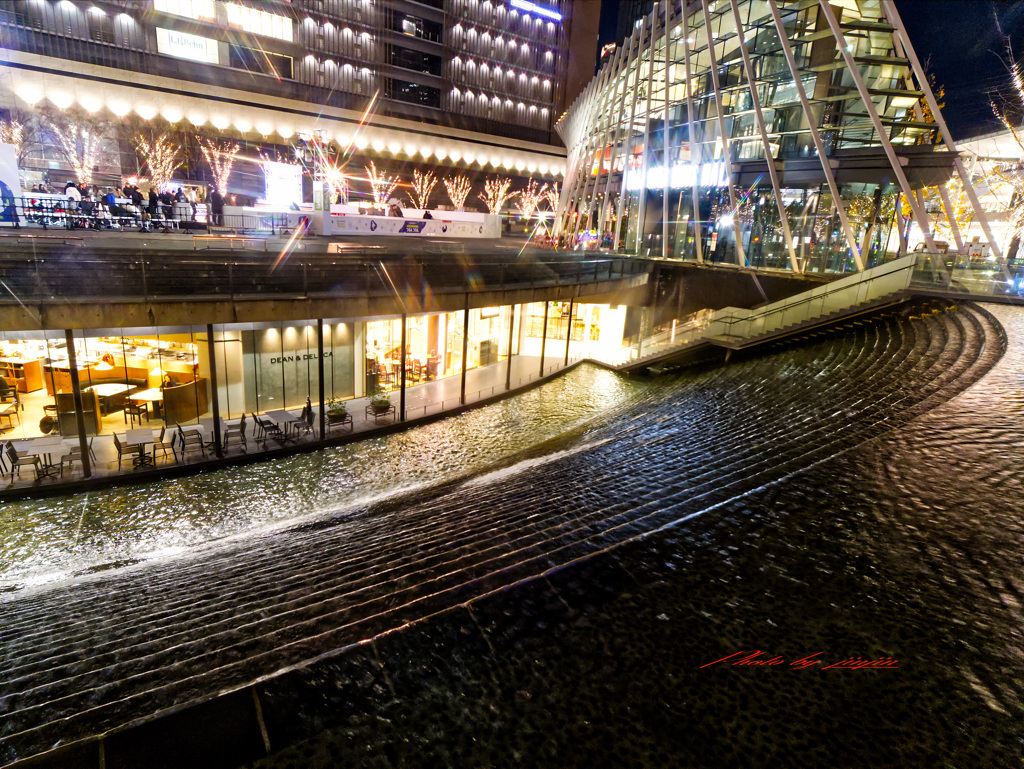 都会のオアシス