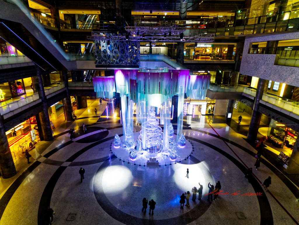 3Fから見下ろすクリスマスツリー2