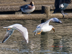 一目散に逃げる！