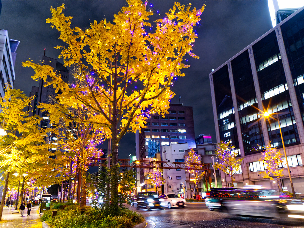 御堂筋イルミネーションを見て歩く