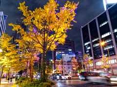 御堂筋イルミネーションを見て歩く