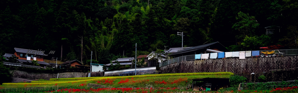 里山の秋