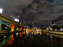 御堂筋イルミネーションを見て歩く