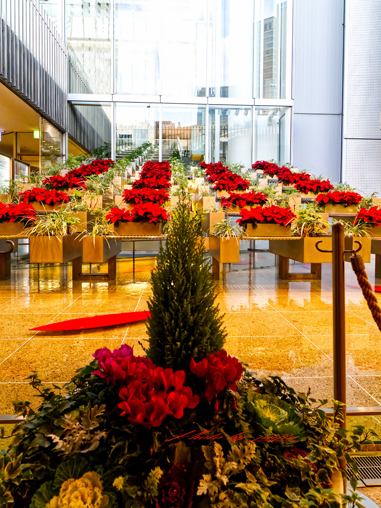 ヒルトンプラザ ウエストの花壇-2