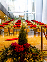 ヒルトンプラザ ウエストの花壇-2