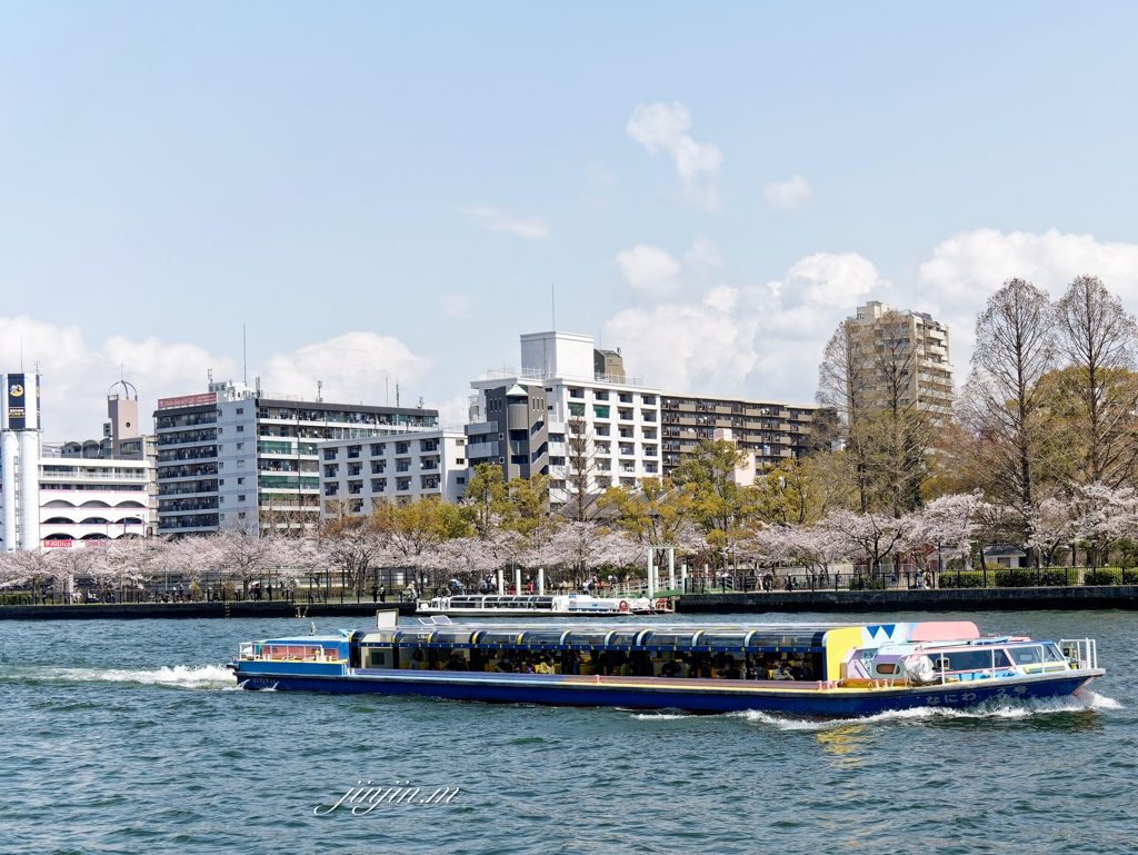 クルーズ船から見る桜