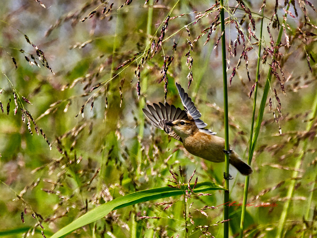 さあ行くよ 背筋を伸ばして！