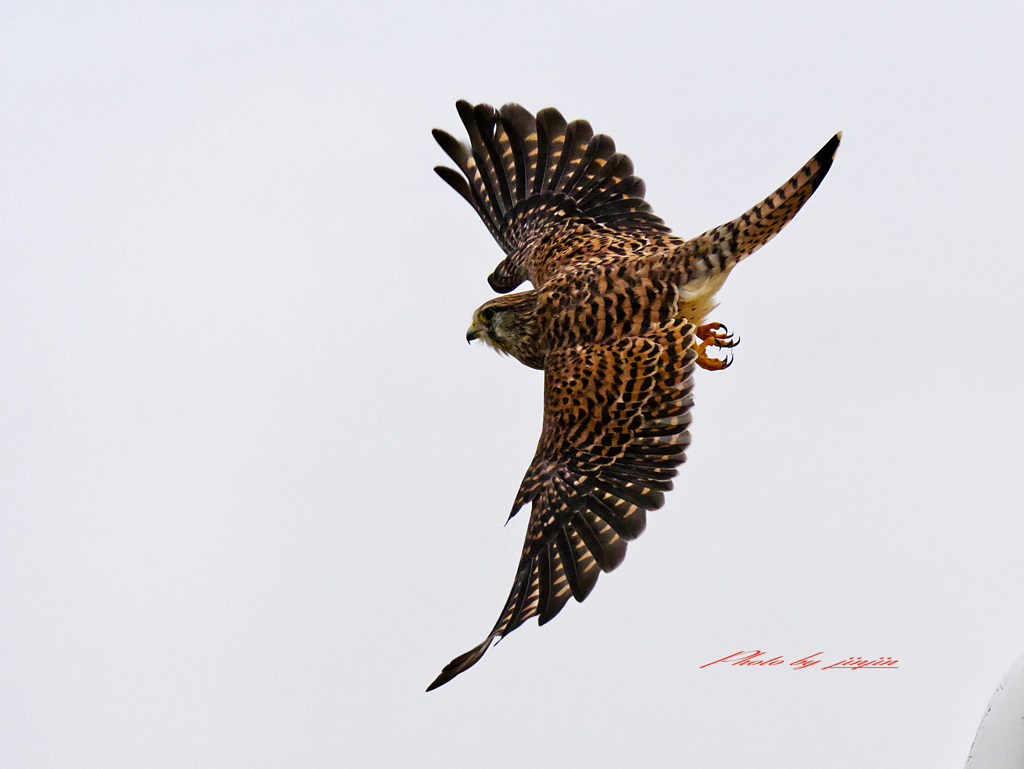 目標狙って一直線