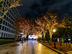 市役所の隣のイルミネーション