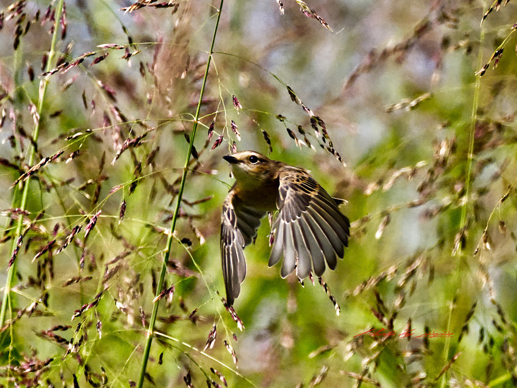 そう その調子！