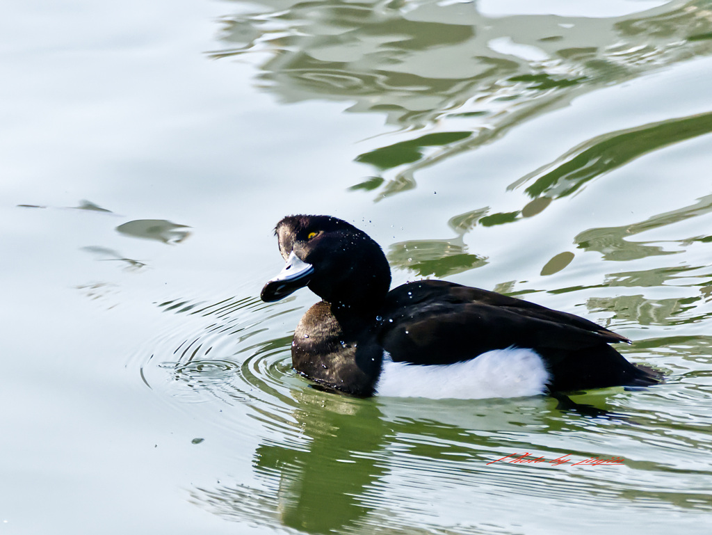 いえ、何もありません