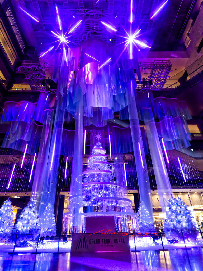 見上げるクリスマスツリー2