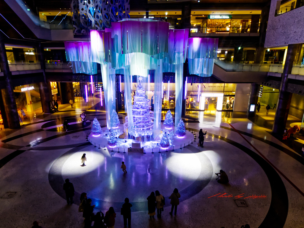 2Fから見るクリスマスツリー1