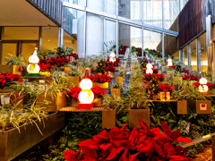 ヒルトンプラザ ウエストの花壇