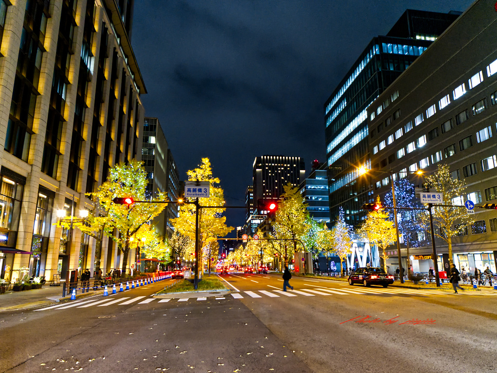 横断中にパチリ