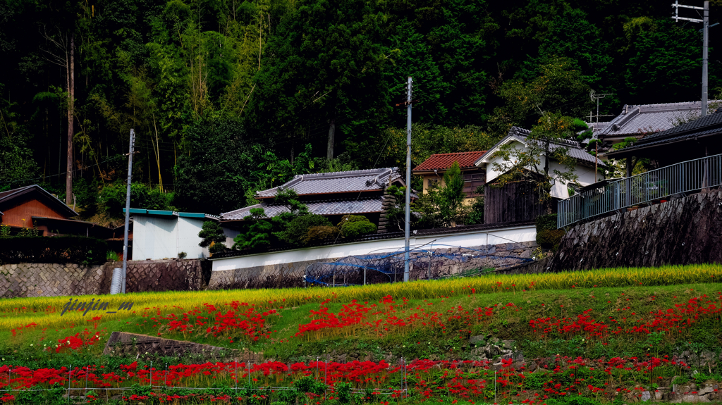 里山の秋-2