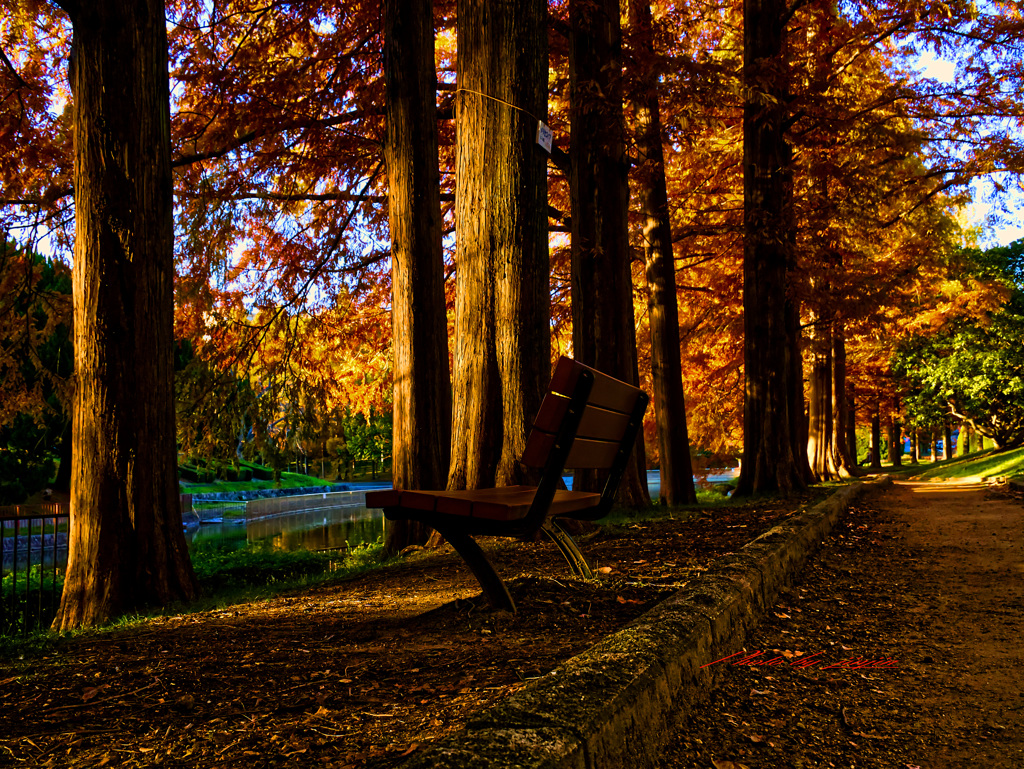 どうぞ！ ベンチに座ってください