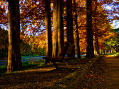 どうぞ！ ベンチに座ってください