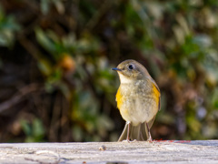 それからまた30分待った
