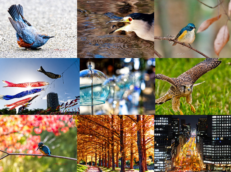 2025年をふり返って