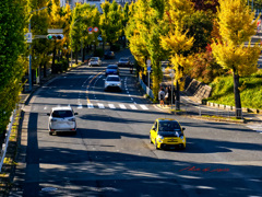 イチョウ並木を駆け抜ける黄色い車