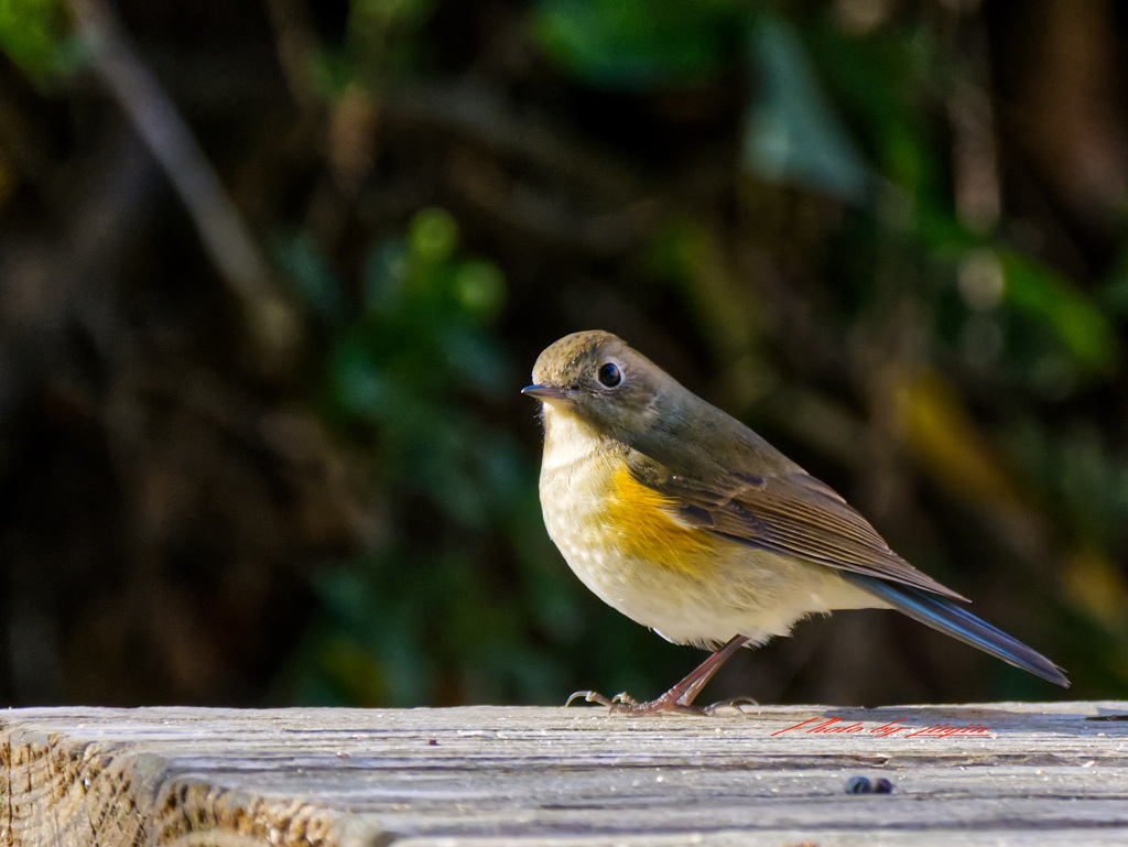 それからまた30分待った-3