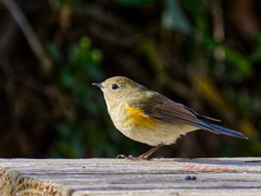 それからまた30分待った-2