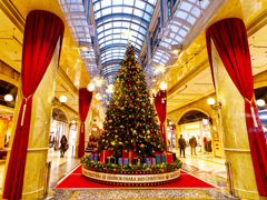 ディアモール大阪のクリスマスツリー2