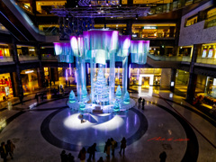 2Fから見るクリスマスツリー2