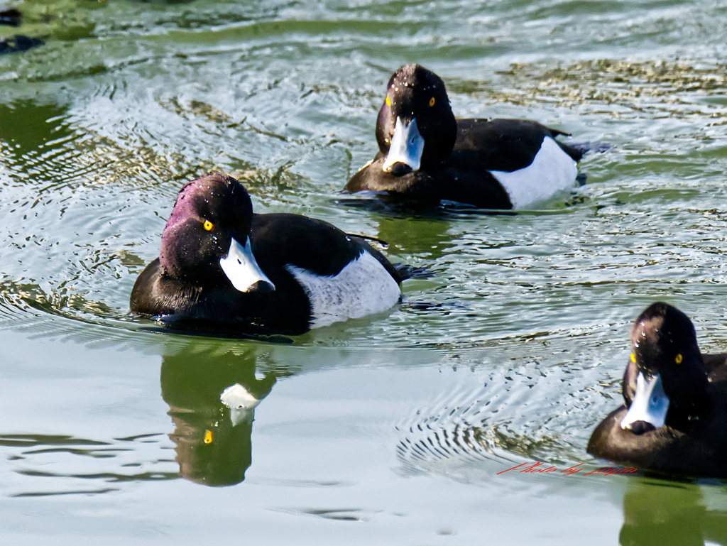 何か文句あるのか？