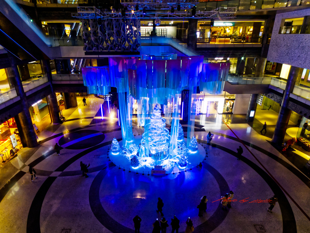 3Fから見下ろすクリスマスツリー3